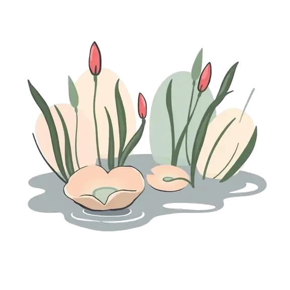 Welcome to Pond.Beauty